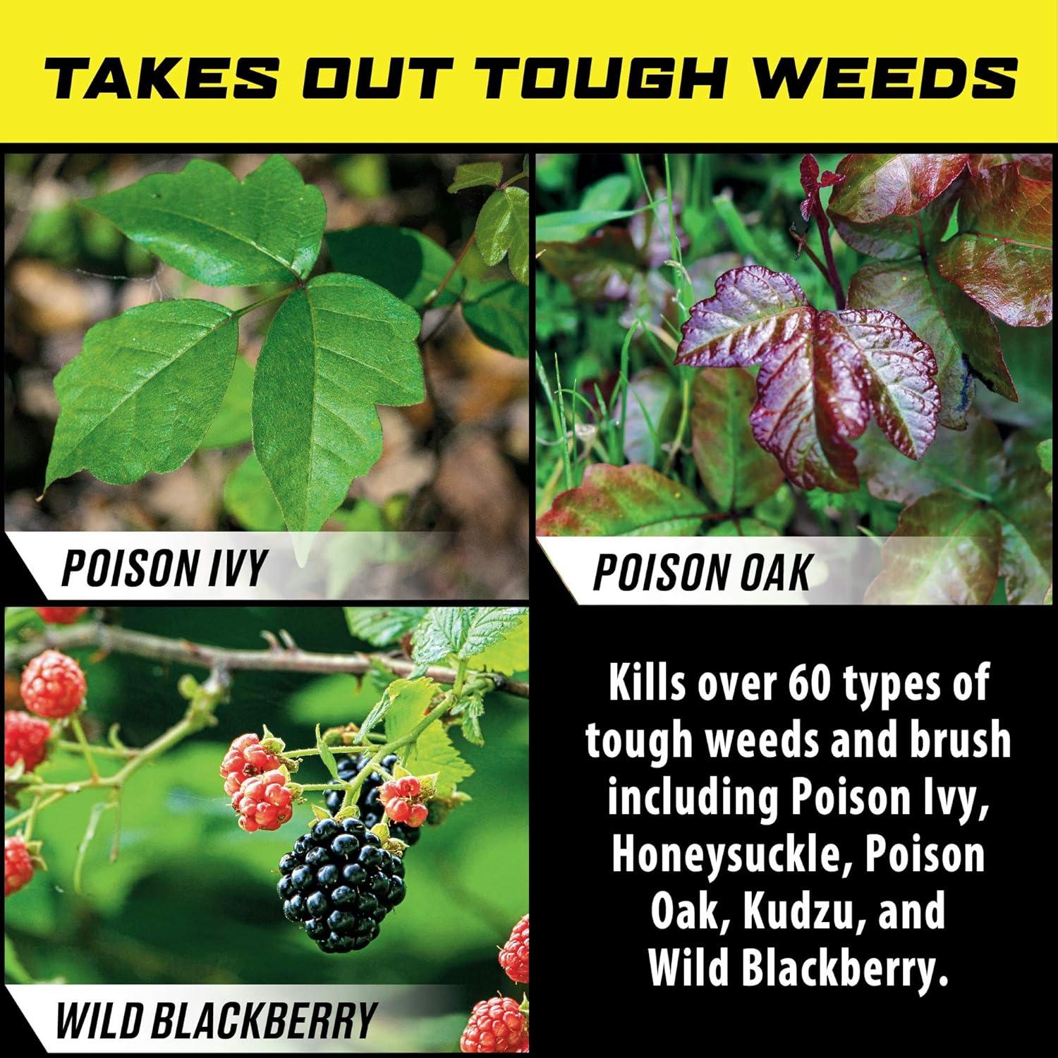 imageOrtho GroundClear Poison Ivy ampamp Tough Brush Killer  Ready to Use with Comfort Wand Poison Ivy Killer Also Kills Poison Oak Kudzu Wild Blackberry Vines ampamp More 133 gal133 gal
