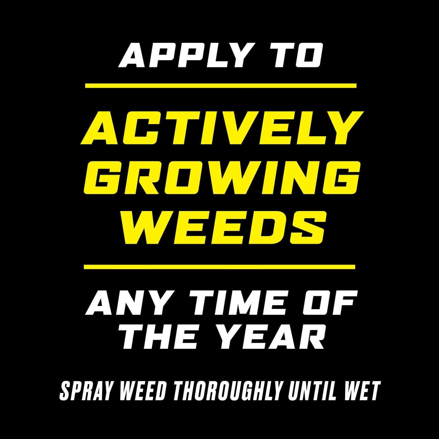 imageOrtho GroundClear Poison Ivy ampamp Tough Brush Killer2  Weed Killer Concentrate 32 fl oz