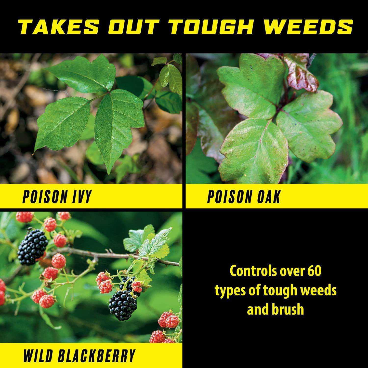 imageOrtho GroundClear Poison Ivy ampamp Tough Brush Killer2  Weed Killer Concentrate 32 fl oz