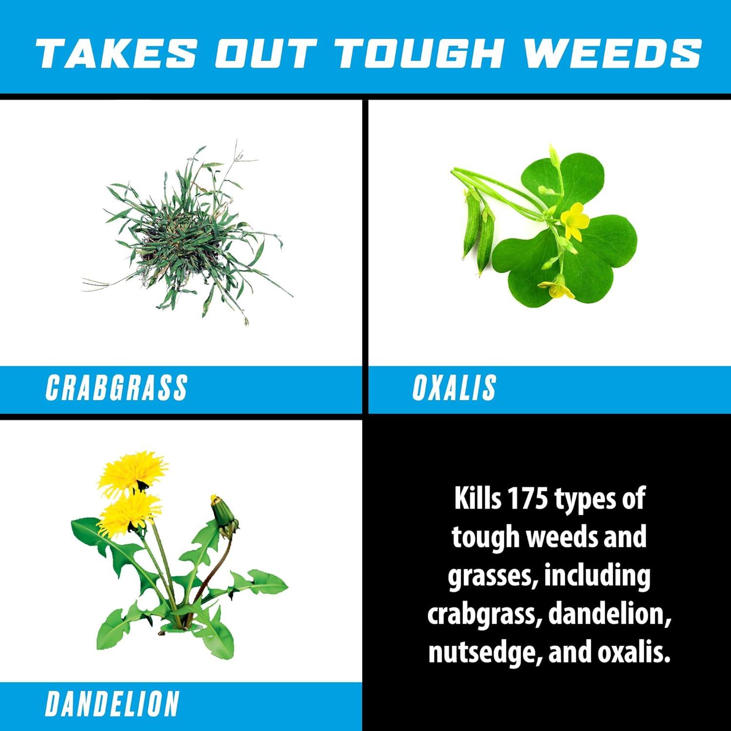 imageOrtho GroundClear Weed ampamp Grass Killer Super Concentrate1 FastActing Formula Kills the Toughest Weeds and Grasses 32 fl oz05 gal