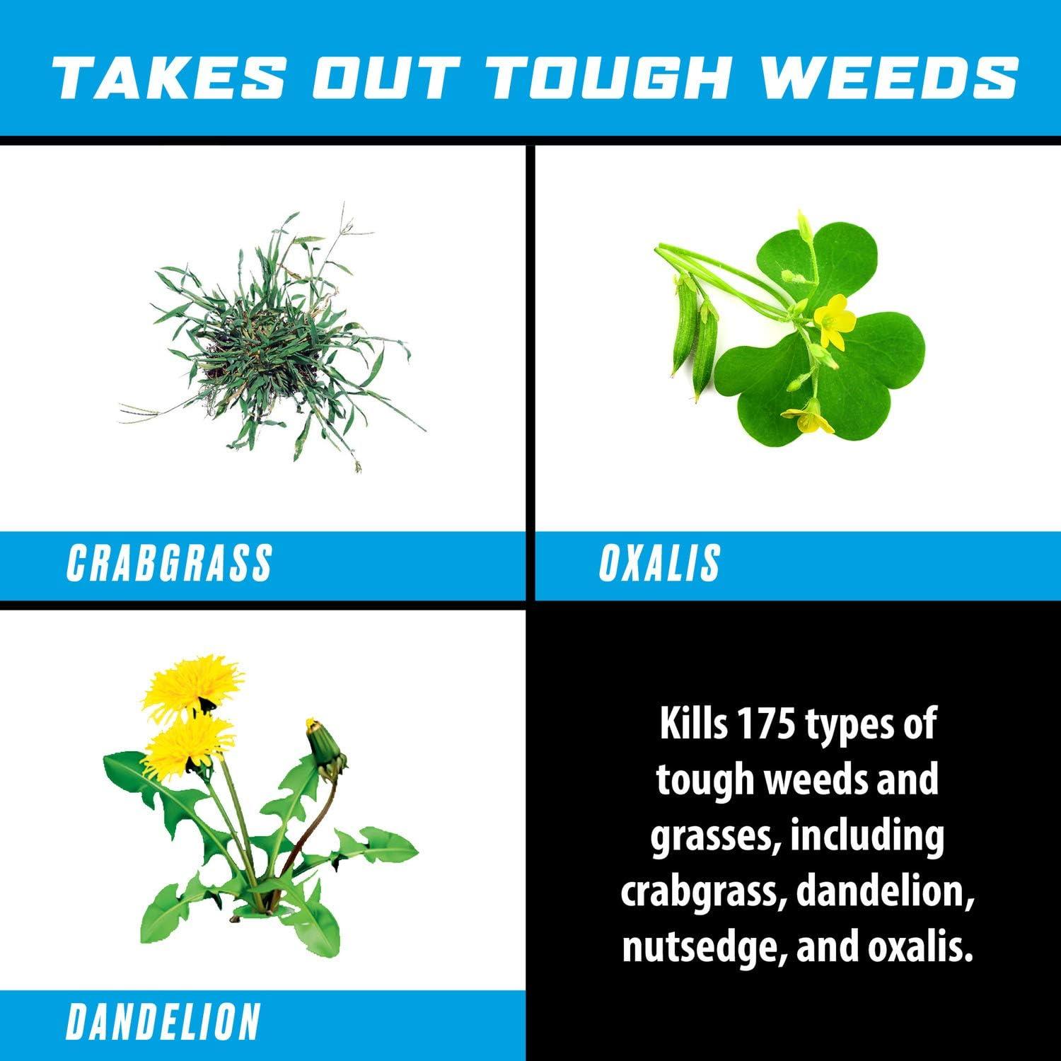 imageOrtho GroundClear Weed ampamp Grass Killer Super Concentrate1 FastActing Formula Kills the Toughest Weeds and Grasses 32 fl oz1 gal