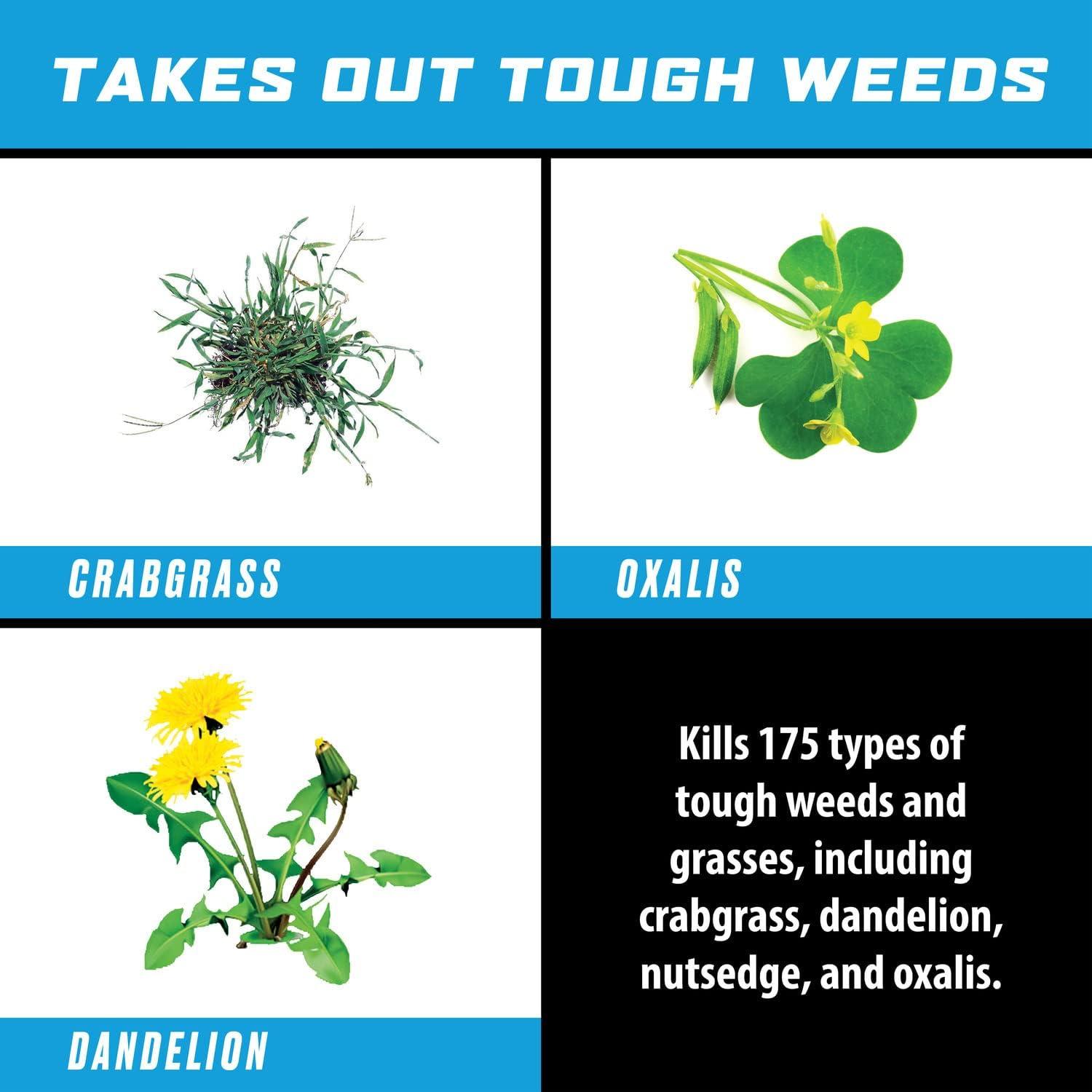 imageOrtho GroundClear Weed ampamp Grass Killer Super Concentrate1 FastActing Formula Kills the Toughest Weeds and Grasses 32 fl oz1 gal