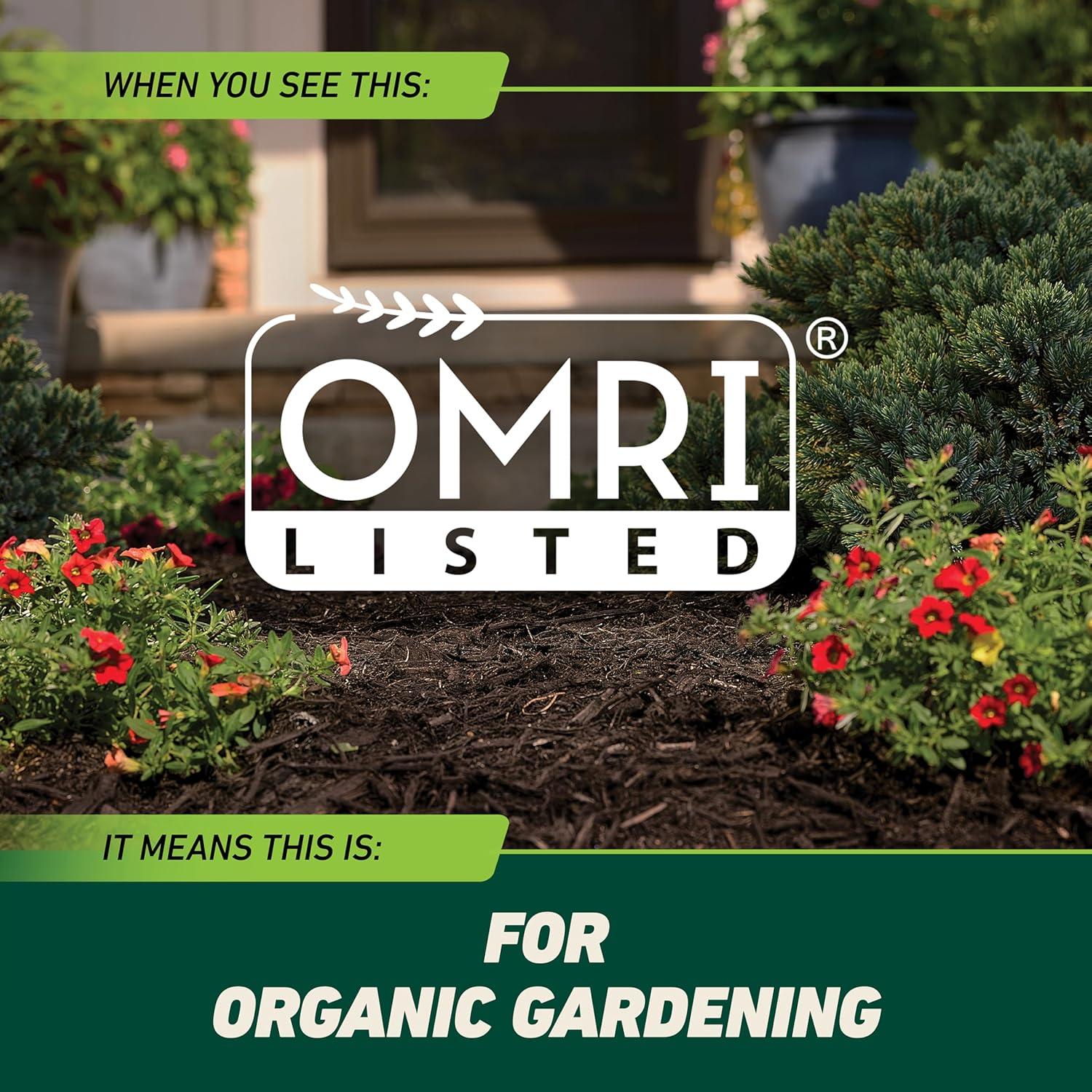 imageOrtho GroundClear Weed and Grass Killer2 Concentrate Kills Dandelions Chickweed Crabgrass Moss and More in Patios and Landscapes OMRI Listed 32 fl ozConcentrate