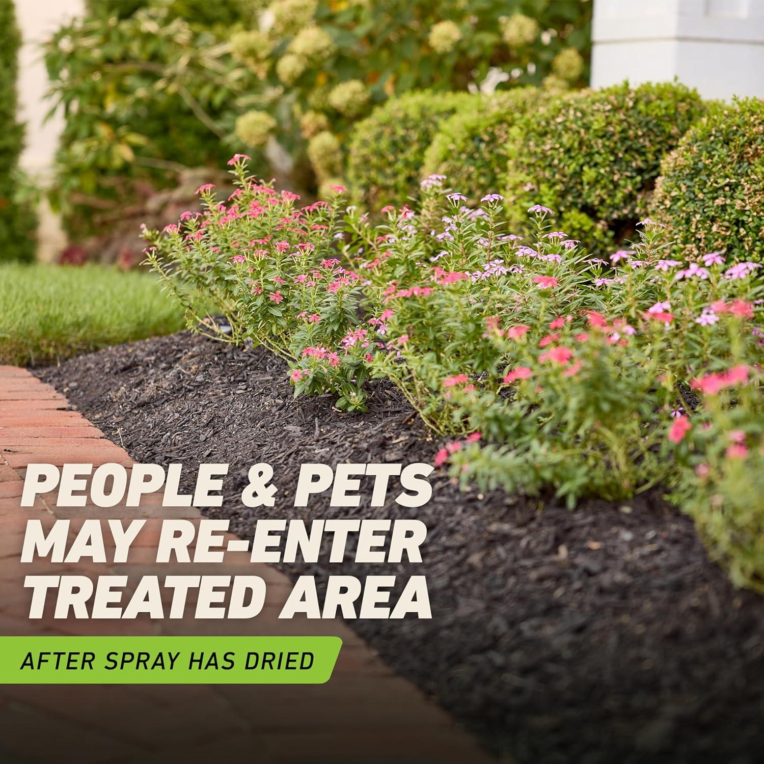imageOrtho GroundClear Weed and Grass Killer2 Concentrate Kills Dandelions Chickweed Crabgrass Moss and More in Patios and Landscapes OMRI Listed 32 fl ozComfort Wand
