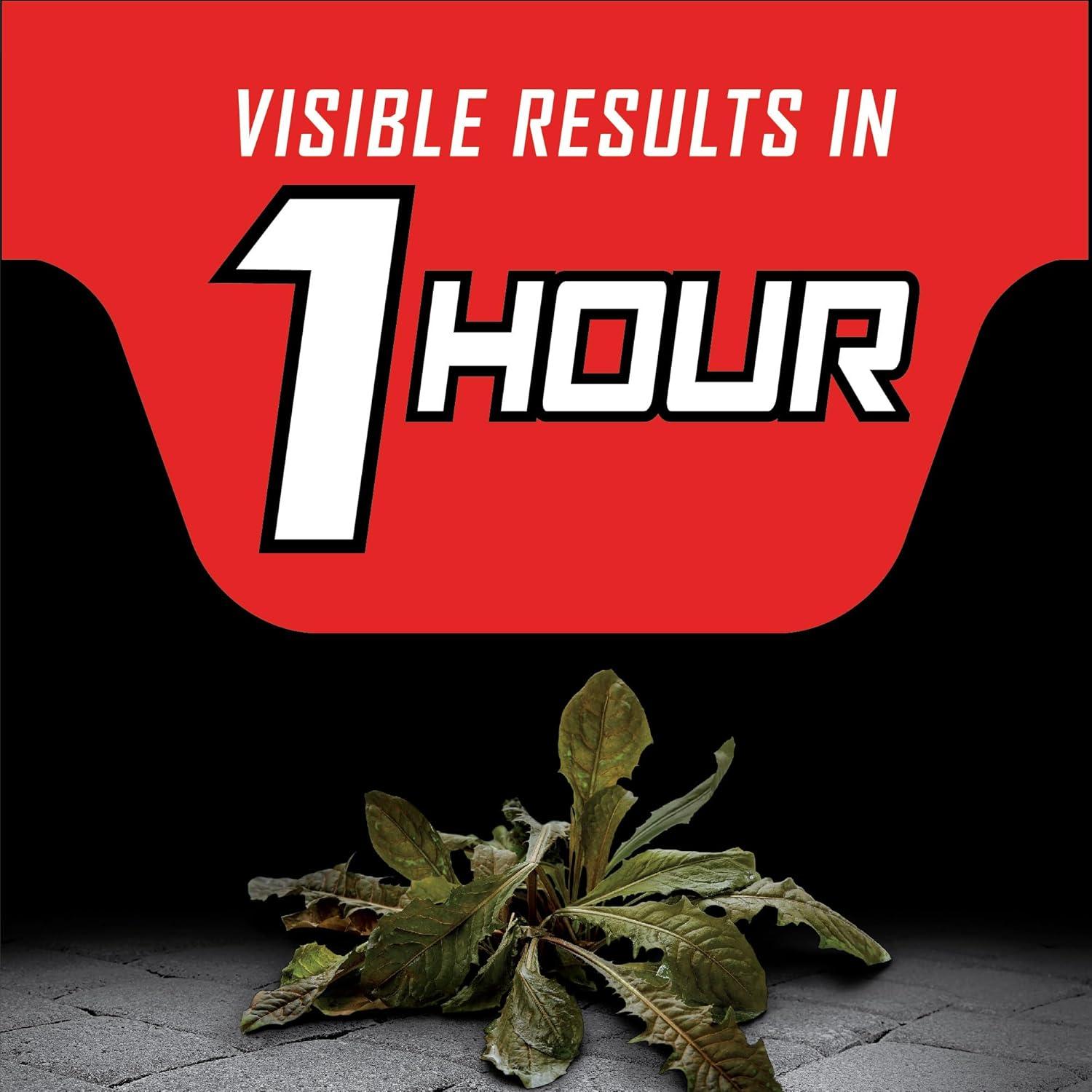 imageOrtho GroundClear Year Long Vegetation Killer2 Concentrate Kills and Prevents Weeds Up to 1 Year 2 gal1 gal