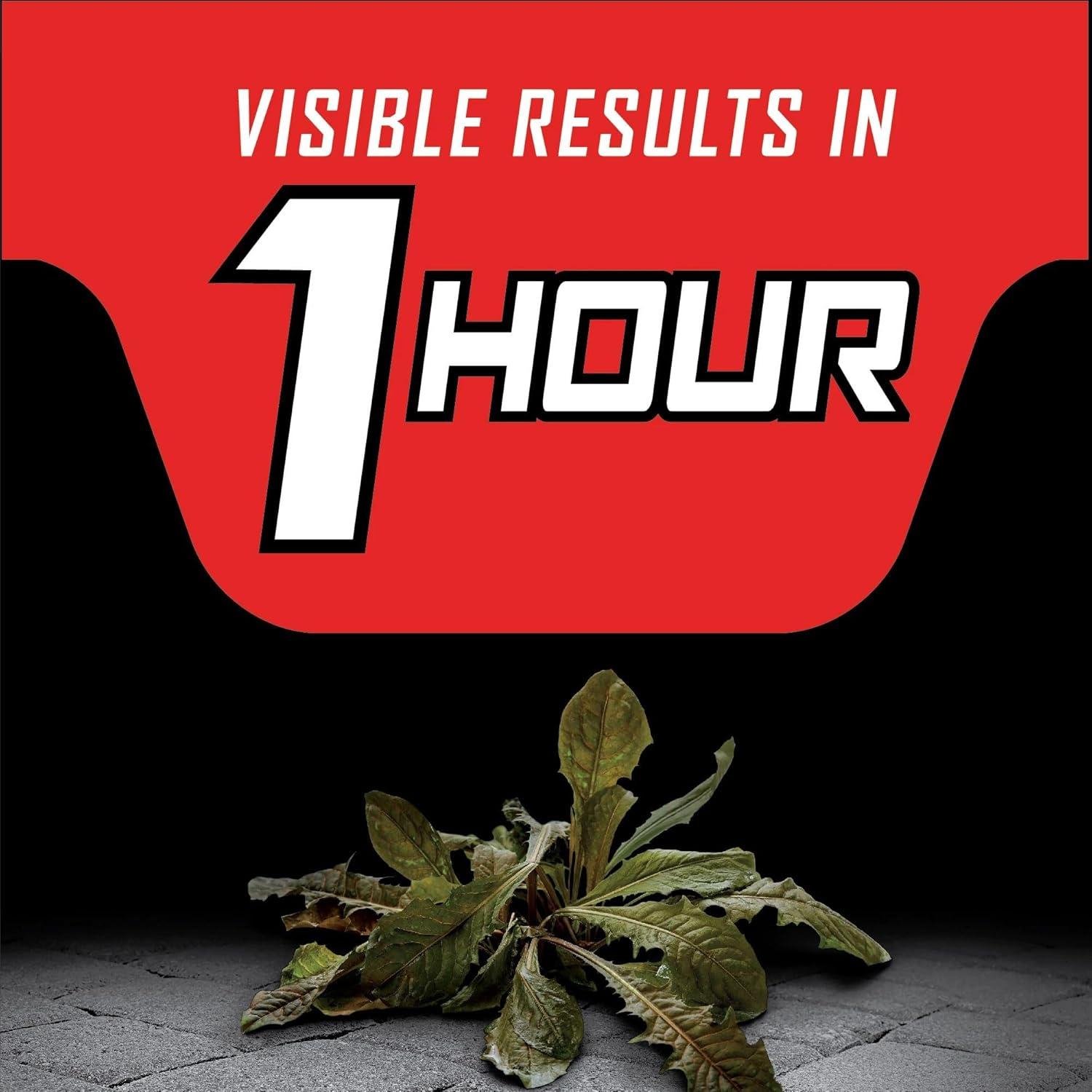imageOrtho GroundClear Year Long Vegetation Killer2 Concentrate Kills and Prevents Weeds Up to 1 Year 2 gal1 gal