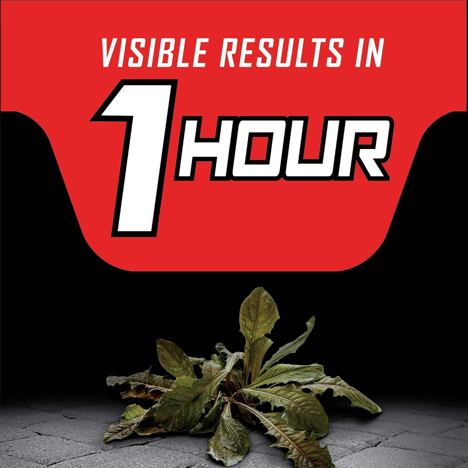 imageOrtho GroundClear Year Long Vegetation Killer2 Concentrate Kills and Prevents Weeds Up to 1 Year 2 gal133 gal