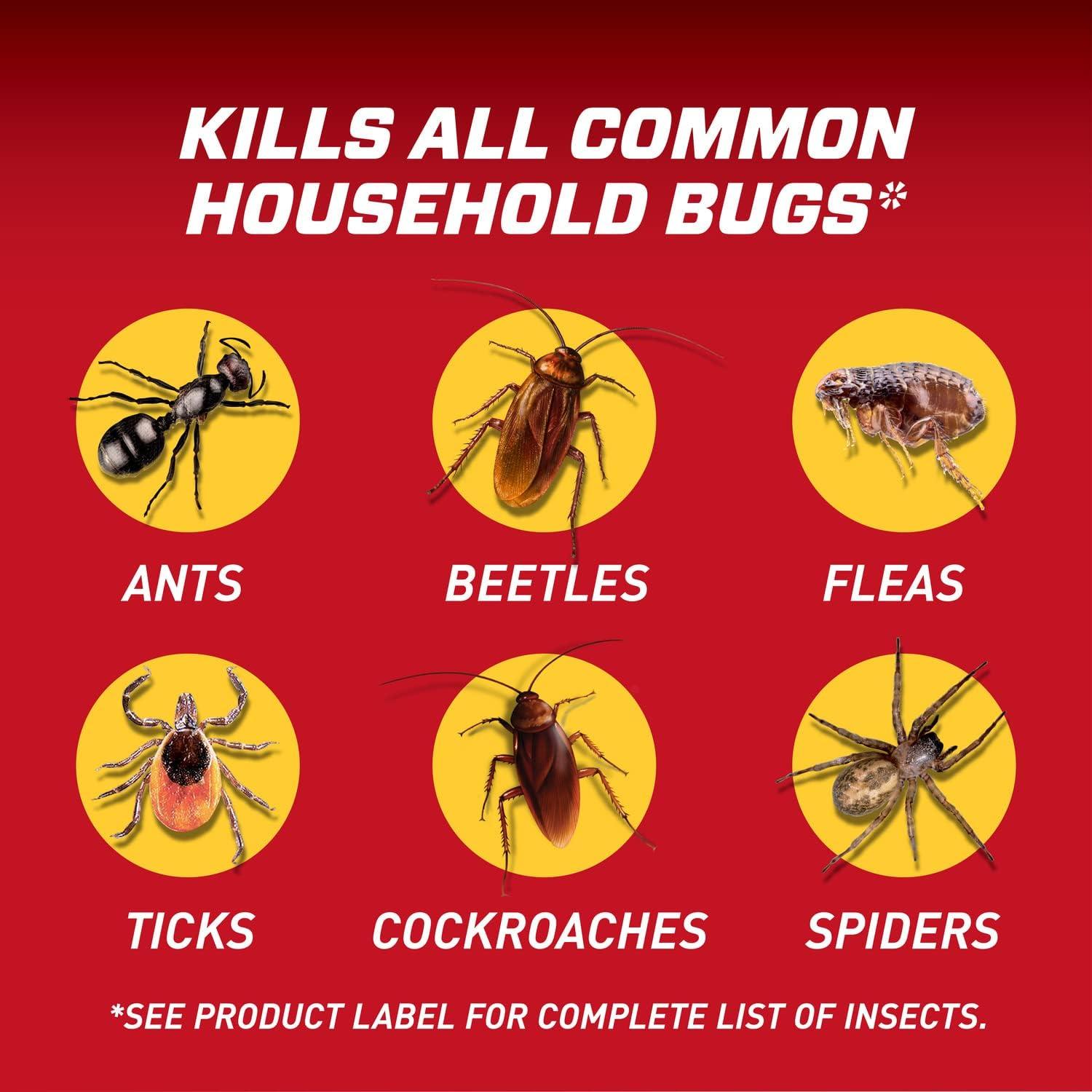 imageOrtho Home Defense Insect Killer for Indoor and Perimeter Refill2 Controls Ants Roaches Spiders and More 1 gal1Pack