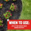 imageOrtho BugClear Lawn Insect Killer1 Kills Ants Spiders Ticks Fleas Armyworms and Grubs Treats up to 16500 sq ft 10 lb20 lb