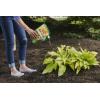 imageOrtho BugGeta Snail ampamp Slug Killer2 Pest Control Stays Effective For Up to 3 Weeks 2 lbs35 lb