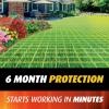 imageOrtho Fire Ant Killer Mound Treatment1 Kills Mounds and the Queen Use on Lawns Ornamentals and Flower Gardens 3 lb115 LB