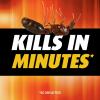 imageOrtho Fire Ant Killer Mound Treatment1 Kills Mounds and the Queen Use on Lawns Ornamentals and Flower Gardens 3 lb2  12 OZ Bottles