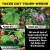 imageOrtho GroundClear Poison Ivy ampamp Tough Brush Killer  Ready to Use with Comfort Wand Poison Ivy Killer Also Kills Poison Oak Kudzu Wild Blackberry Vines ampamp More 133 gal133 gal