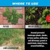 imageOrtho GroundClear Weed ampamp Grass Killer Super Concentrate1 FastActing Formula Kills the Toughest Weeds and Grasses 32 fl oz05 gal