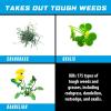 imageOrtho GroundClear Weed ampamp Grass Killer Super Concentrate1 FastActing Formula Kills the Toughest Weeds and Grasses 32 fl oz05 gal