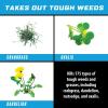imageOrtho GroundClear Weed ampamp Grass Killer Super Concentrate1 FastActing Formula Kills the Toughest Weeds and Grasses 32 fl oz1 gal