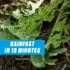 imageOrtho GroundClear Weed ampamp Grass Killer Super Concentrate1 FastActing Formula Kills the Toughest Weeds and Grasses 32 fl oz1 gal