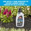 imageOrtho GroundClear Weed ampamp Grass Killer Super Concentrate1 FastActing Formula Kills the Toughest Weeds and Grasses 32 fl oz32oz