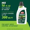 imageOrtho GroundClear Weed and Grass Killer2 Concentrate Kills Dandelions Chickweed Crabgrass Moss and More in Patios and Landscapes OMRI Listed 32 fl ozConcentrate