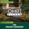 imageOrtho GroundClear Weed and Grass Killer2 Concentrate Kills Dandelions Chickweed Crabgrass Moss and More in Patios and Landscapes OMRI Listed 32 fl ozComfort Wand