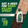 imageOrtho GroundClear Weed and Grass Killer2 Concentrate Kills Dandelions Chickweed Crabgrass Moss and More in Patios and Landscapes OMRI Listed 32 fl ozConcentrate