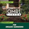imageOrtho GroundClear Weed and Grass Killer2 Concentrate Kills Dandelions Chickweed Crabgrass Moss and More in Patios and Landscapes OMRI Listed 32 fl ozConcentrate