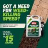 imageOrtho GroundClear Weed and Grass Killer2 Concentrate Kills Dandelions Chickweed Crabgrass Moss and More in Patios and Landscapes OMRI Listed 32 fl ozComfort Wand