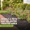 imageOrtho GroundClear Weed and Grass Killer2 Concentrate Kills Dandelions Chickweed Crabgrass Moss and More in Patios and Landscapes OMRI Listed 32 fl ozComfort Wand
