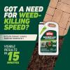 imageOrtho GroundClear Weed and Grass Killer2 Concentrate Kills Dandelions Chickweed Crabgrass Moss and More in Patios and Landscapes OMRI Listed 32 fl ozRefill