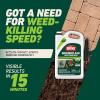 imageOrtho GroundClear Weed and Grass Killer2 Concentrate Kills Dandelions Chickweed Crabgrass Moss and More in Patios and Landscapes OMRI Listed 32 fl ozTrigger