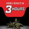 imageOrtho GroundClear Year Long Vegetation Killer2 Concentrate Kills and Prevents Weeds Up to 12 Months 32 fl oz1 gal