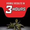 imageOrtho GroundClear Year Long Vegetation Killer2 Concentrate Kills and Prevents Weeds Up to 12 Months 32 fl oz1 gal