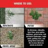 imageOrtho GroundClear Year Long Vegetation Killer2 Concentrate Kills and Prevents Weeds Up to 12 Months 32 fl oz1 gal