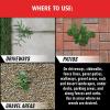 imageOrtho GroundClear Year Long Vegetation Killer2 Concentrate Kills and Prevents Weeds Up to 12 Months 32 fl oz1 gal