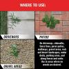 imageOrtho GroundClear Year Long Vegetation Killer2 Concentrate Kills and Prevents Weeds Up to 12 Months 32 fl oz133 gal