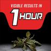imageOrtho GroundClear Year Long Vegetation Killer2 Concentrate Kills and Prevents Weeds Up to 12 Months 32 fl oz133 gal