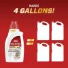imageOrtho Home Defense Insect Killer for Indoor and Perimeter Refill2 Controls Ants Roaches Spiders and More 1 gal1Pack