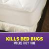 imageOrtho Home Defense Max Bed Bug Flea and Tick Killer with Comfort Wand Bed Bug Spray Kills Bed Bug Eggs Fleas and Ticks 1 gal1Pack