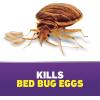 imageOrtho Home Defense Max Bed Bug Flea and Tick Killer with Comfort Wand Bed Bug Spray Kills Bed Bug Eggs Fleas and Ticks 1 gal1Pack