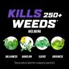 imageOrtho WeedClear Lawn Weed Killer Concentrate2 Kills Dandelion and Clover 32 fl OzConcentrate