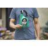 imageOrtho WeedClear Lawn Weed Killer Concentrate2 Kills Dandelion and Clover 32 fl OzReady to Spray 2 Pack