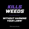 imageOrtho WeedClear Lawn Weed Killer Concentrate2 Kills Dandelion and Clover 32 fl OzTrigger