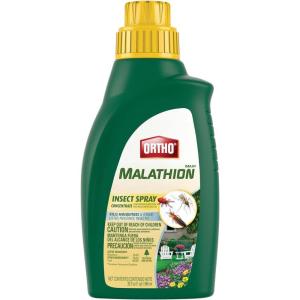 imageOrtho MAX Malathion Insect Spray Concentrate Kill Aphids Mosquitoes ampamp More Use Outside on Flowers Vegetables ampamp Plants 32 oz32 Fl Oz Pack of 1
