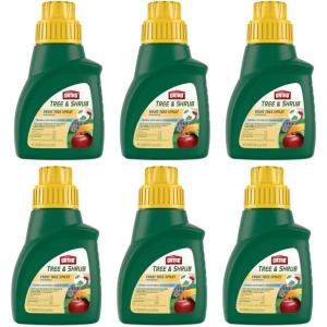 imageOrtho Tree ampamp Shrub Fruit Tree Spray 16Ounce6 Pack