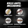 imageOrtho Orthene Ant Killer Ant Bait Indoor Ant Killer Kills The Queen and The Colony 12 Stations2Pack