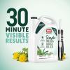 imageOrtho GroundClear Simple Weed and Grass Killer with Comfort Wand  Ready to Use Kills All Types of Weeds and Grasses Sprayer for Gardens Patios amp More 1 gal1Pack