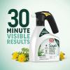 imageOrtho GroundClear Simple Weed and Grass Killer with Comfort Wand  Ready to Use Kills All Types of Weeds and Grasses Sprayer for Gardens Patios amp More 1 gal2Pack