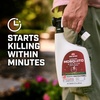 image:imageOrtho Home Defense Backyard Mosquito and Bug Killer ReadytoSpray Kills Mosquitoes Ants Fleas and Spiders 32 fl ozReady to Spray