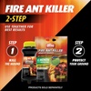 image:imageOrtho Orthene Fire Ant Killer Lawn amp Landscape Broadcast ReadytoSpray  ReadytoSpray HoseEnd Applicator Kills Fire Ants Fleas and American Dog Ticks 32 fl ozMound Treatment