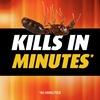 image:imageOrtho Orthene Fire Ant Killer Lawn amp Landscape Broadcast ReadytoSpray  ReadytoSpray HoseEnd Applicator Kills Fire Ants Fleas and American Dog Ticks 32 fl ozMound Treatment